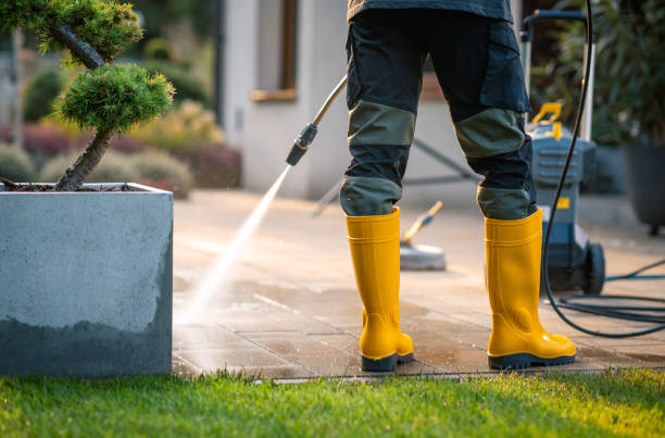 Best Roof Pressure Washing  in Irvine, CA